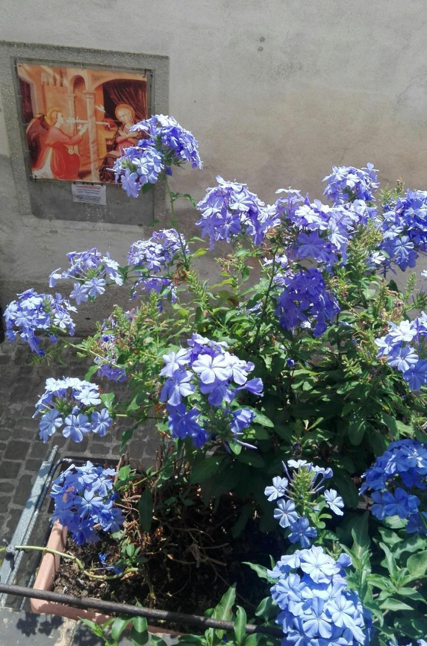 Palazzetto Bentivoglio Villa Sassoferrato ภายนอก รูปภาพ